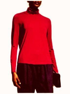 Eileen Fisher Turtleneck Top New 3X